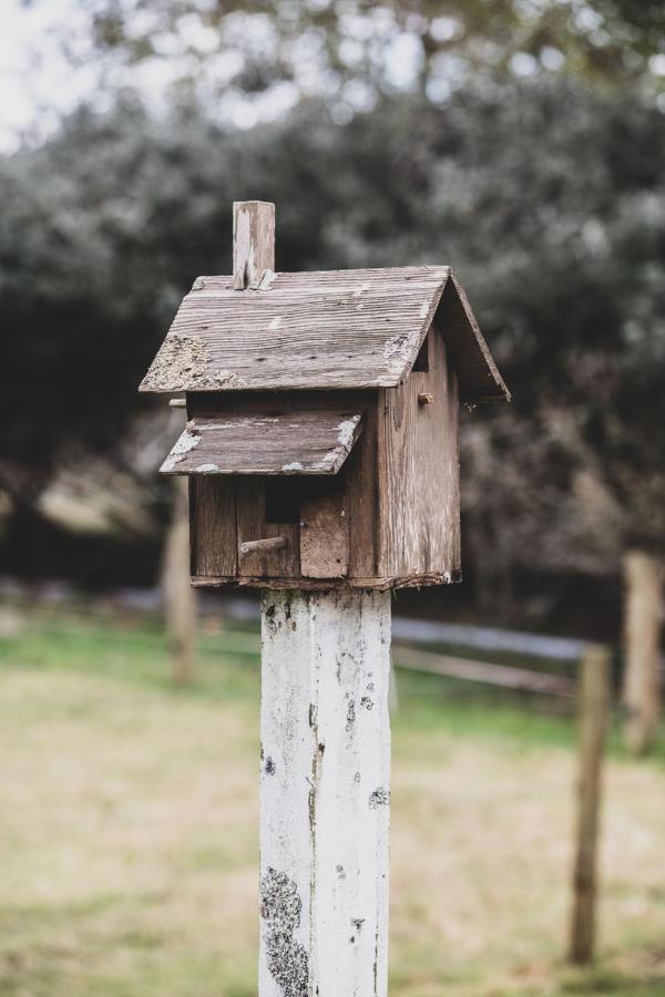 Kakariki Cottage Papakura Buitenkant foto